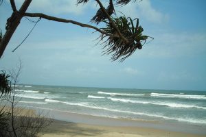 About-Velsao-Beach