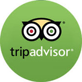 Optima Travels Client Testimonials 