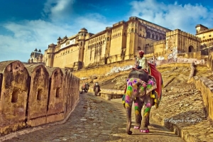 About-Amber-Fort